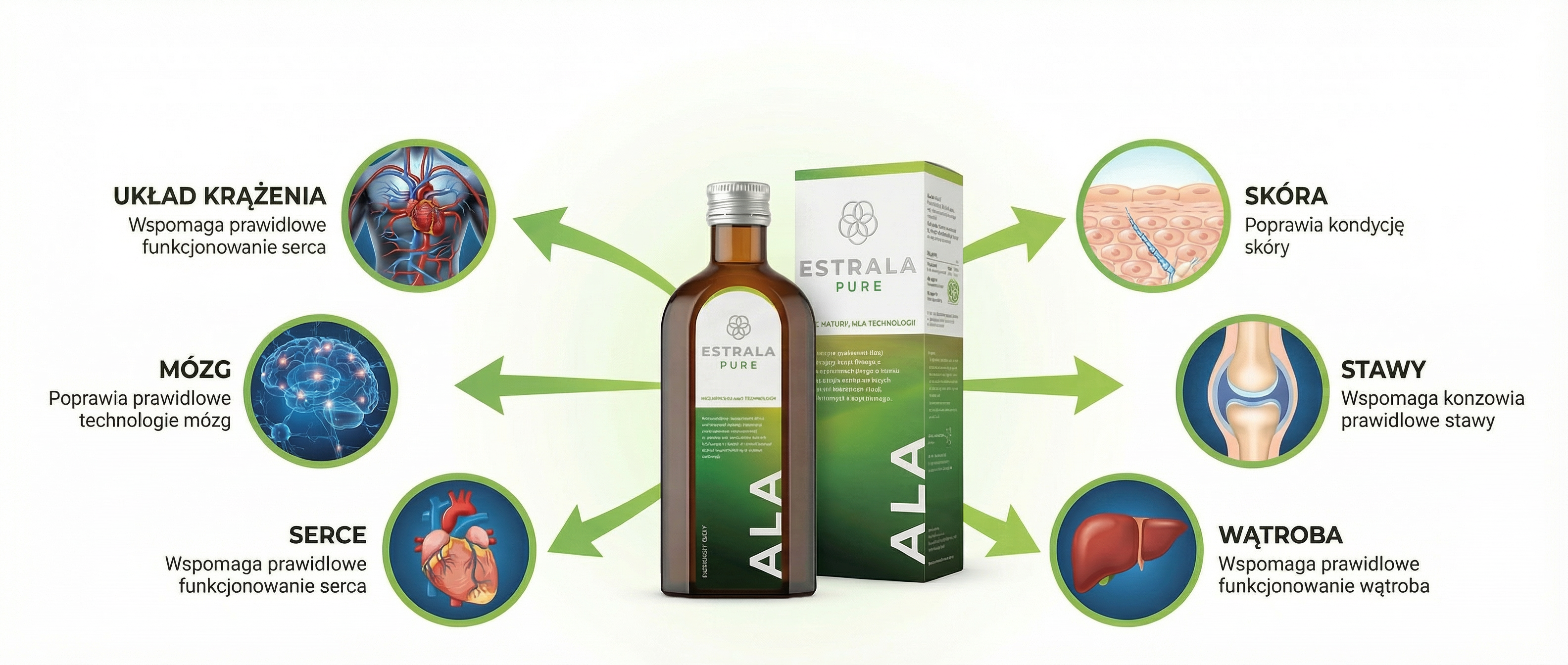 Korzyści ESTRALA - mózg, mięśnie, DNA